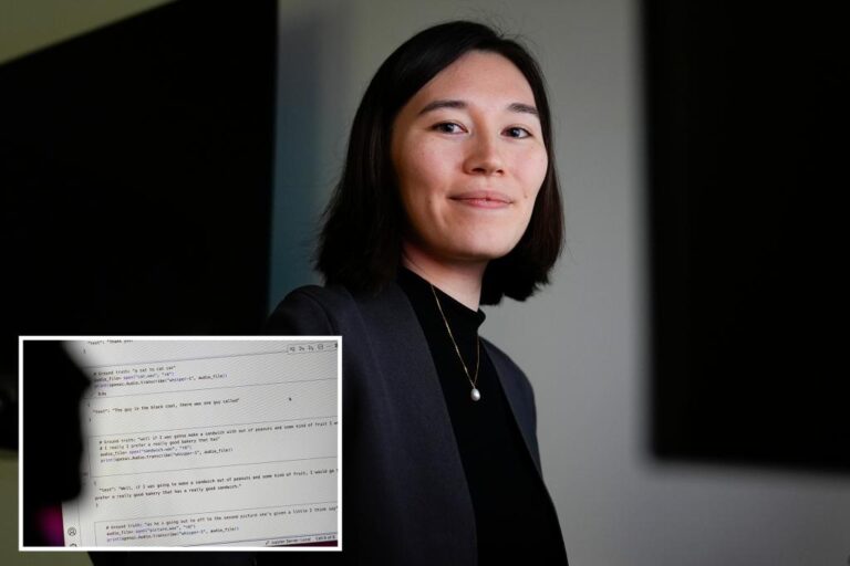 Researchers say an AI-powered transcription tool used in hospitals invents things no one ever said

