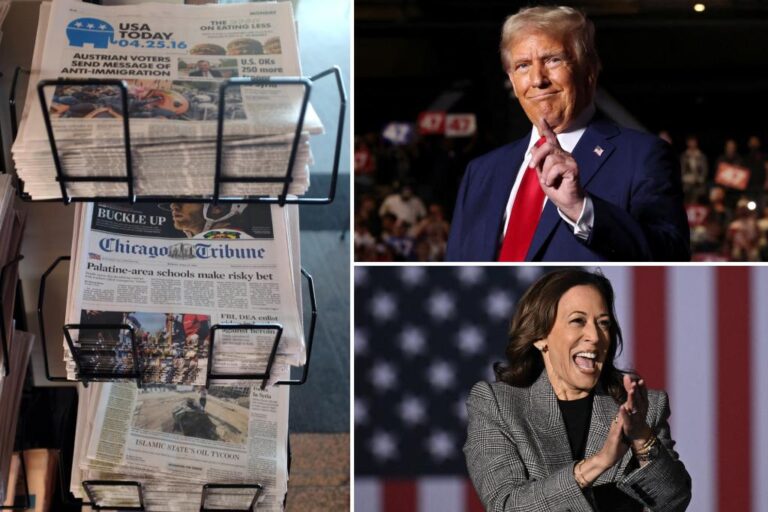 USA Today and 200 other Gannett-owned newspapers that do not support the presidential candidate

